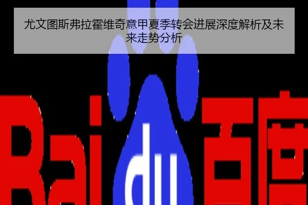 尤文图斯弗拉霍维奇意甲夏季转会进展深度解析及未来走势分析